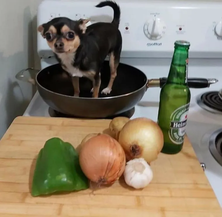 URNEBESNE FOTOGRAFIJE IZ IZOLACIJE: Koliko god bilo te&scaron;ko ovih dana, smisao za humor ipak ostaje