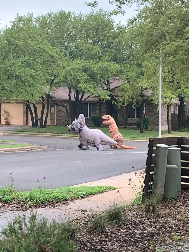 URNEBESNE FOTOGRAFIJE IZ IZOLACIJE: Koliko god bilo te&scaron;ko ovih dana, smisao za humor ipak ostaje