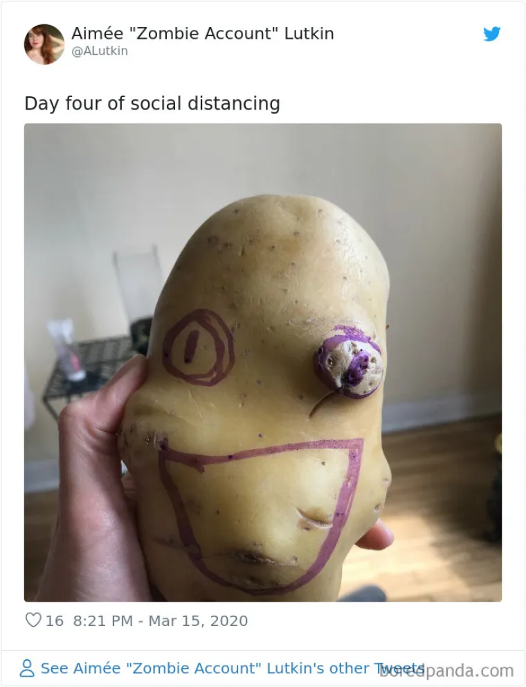 URNEBESNE FOTOGRAFIJE IZ IZOLACIJE: Koliko god bilo te&scaron;ko ovih dana, smisao za humor ipak ostaje