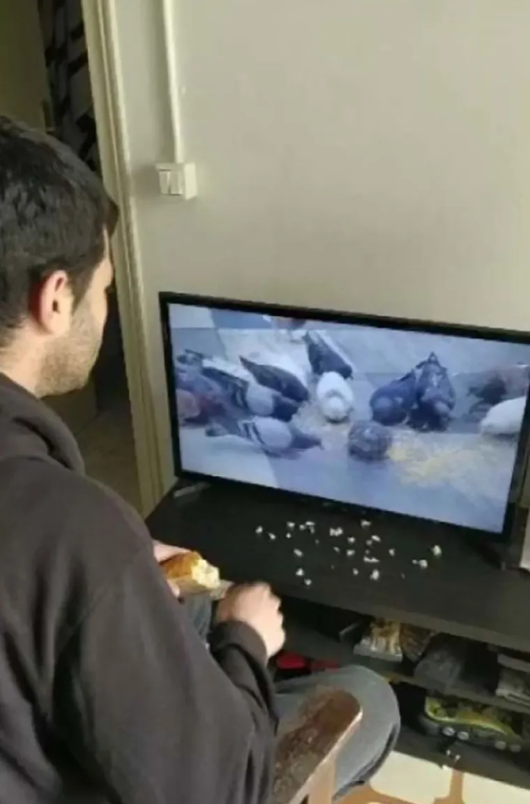 URNEBESNE FOTOGRAFIJE IZ IZOLACIJE: Koliko god bilo te&scaron;ko ovih dana, smisao za humor ipak ostaje