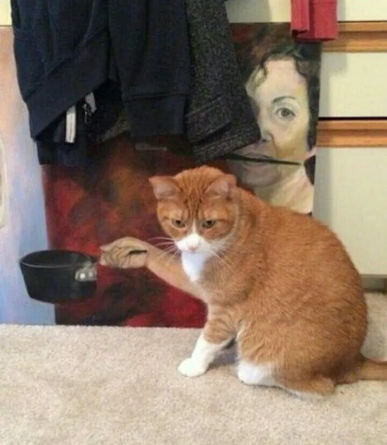 ZAVARAT ĆE VAS BOLJE OD ILUZIONISTA: Čudne fotke koje vam neće biti jasne ni nakon pola sata buljenja