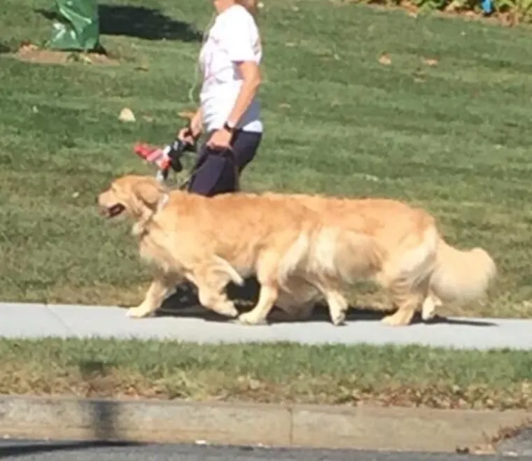 ZAVARAT ĆE VAS BOLJE OD ILUZIONISTA: Čudne fotke koje vam neće biti jasne ni nakon pola sata buljenja
