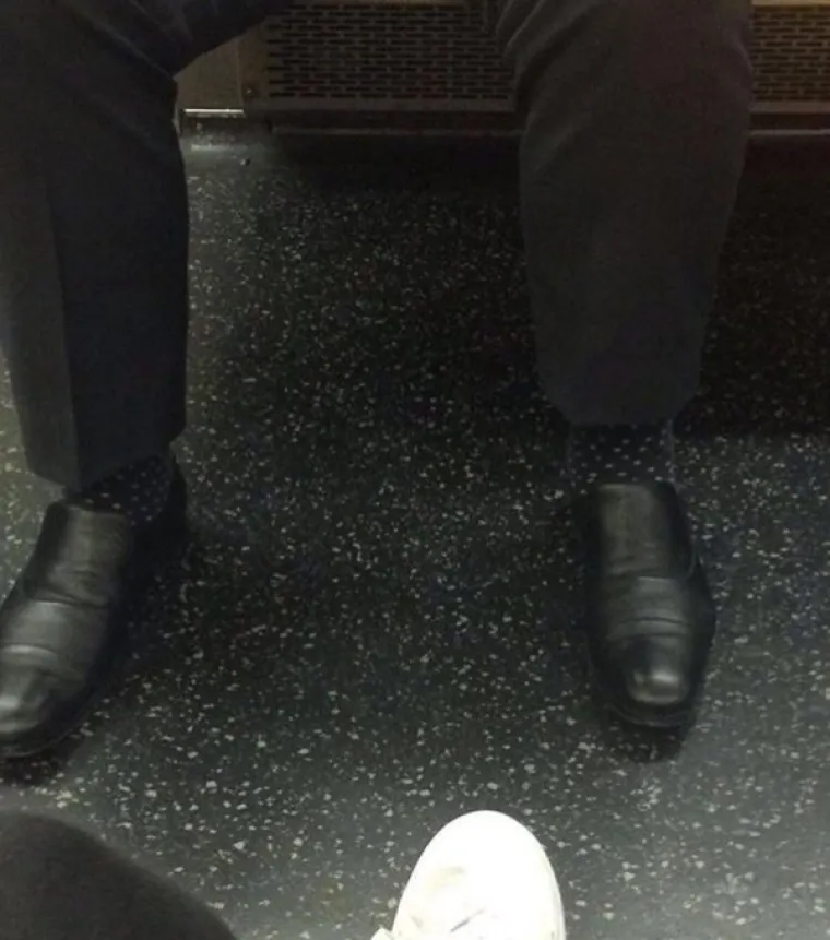 SLUČAJNI MAJSTORI KAMUFLAŽE: Toliko su se stopili s pozadinom da su postali raj za perfekcioniste