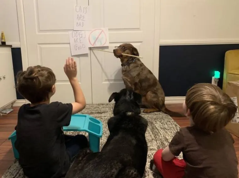 Obrazovanje outsourcano