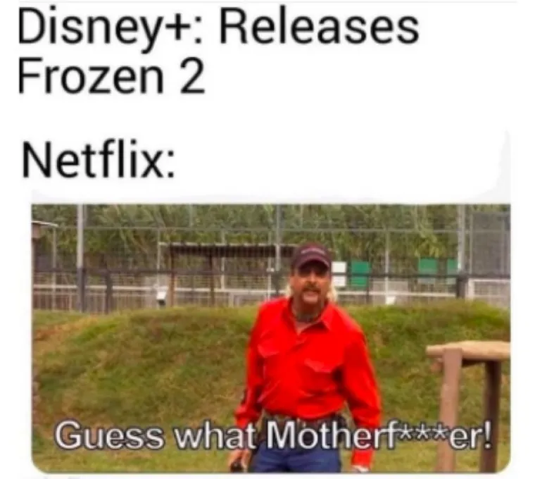 MEMOVI KOJI ĆE VAM IMATI SMISLA SAMO AKO STE GLEDALI TIGER KINGA: Ako jo&scaron; niste pogledali ovo, ne znate &scaron;to propu&scaron;tate