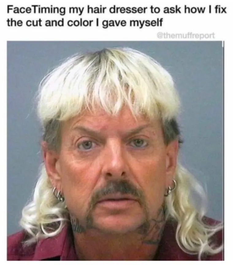 MEMOVI KOJI ĆE VAM IMATI SMISLA SAMO AKO STE GLEDALI TIGER KINGA: Ako jo&scaron; niste pogledali ovo, ne znate &scaron;to propu&scaron;tate