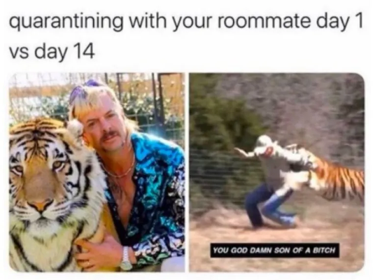 MEMOVI KOJI ĆE VAM IMATI SMISLA SAMO AKO STE GLEDALI TIGER KINGA: Ako jo&scaron; niste pogledali ovo, ne znate &scaron;to propu&scaron;tate