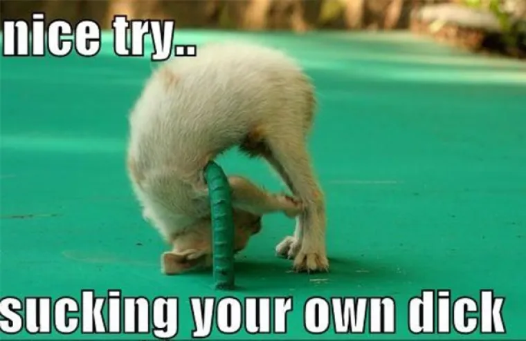 Poku&scaron;ala bih samoj sebi popu****