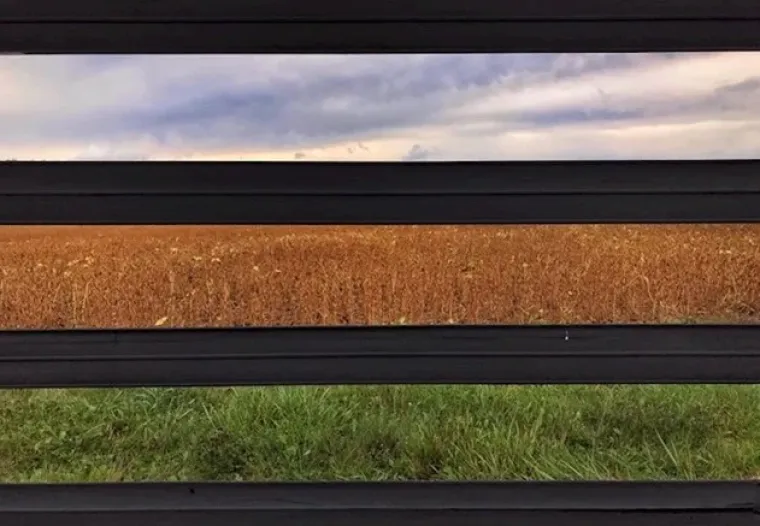 Može li bolje? Ove fotografije su toliko savršene da ih nećete moći prestati gledati