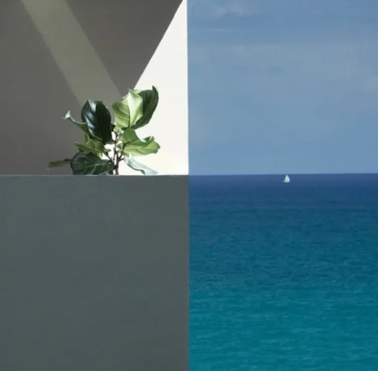 Može li bolje? Ove fotografije su toliko savršene da ih nećete moći prestati gledati
