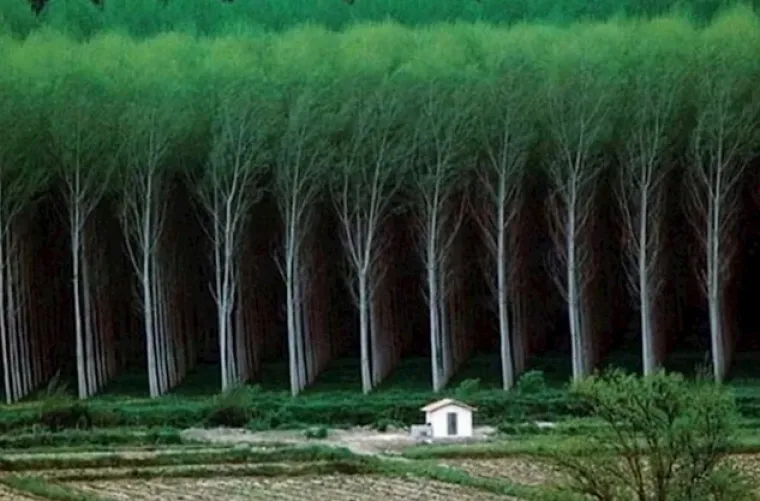 Može li bolje? Ove fotografije su toliko savr&scaron;ene da ih nećete moći prestati gledati