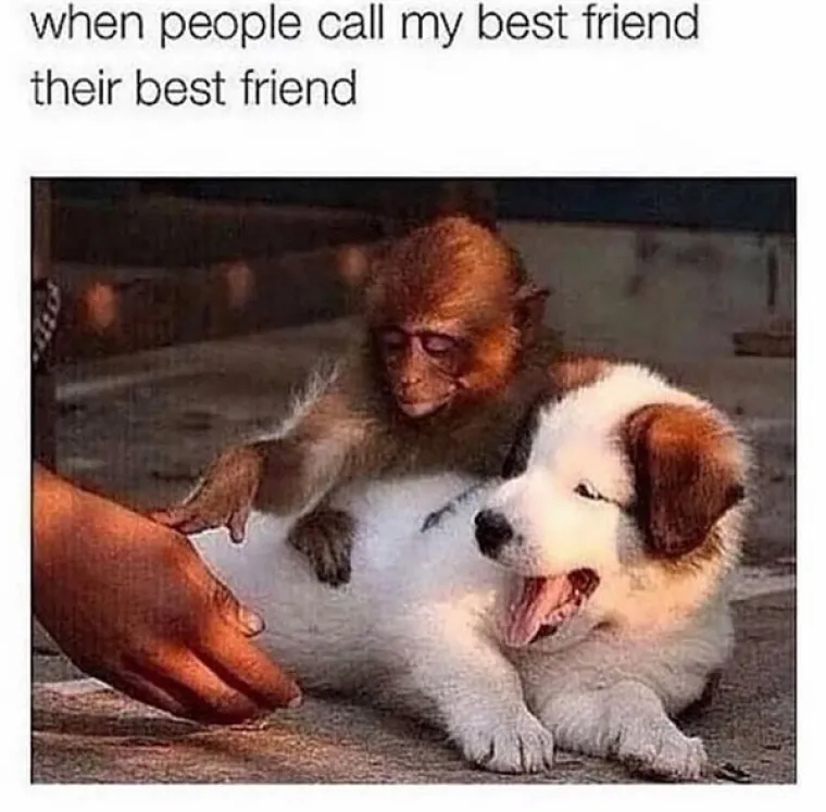 TKO SE PRVI NASMIJE - GUBI: Garantirano ćete izgubiti u ovoj igri, pa ovo je čisti urnebes