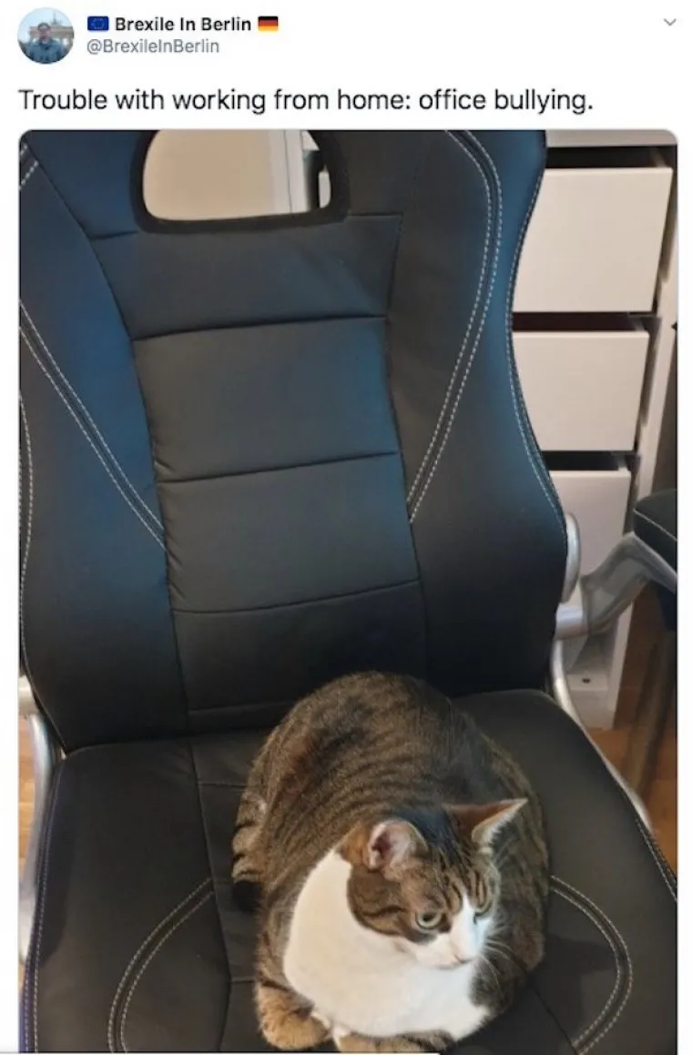 RADITE OD KUĆE? Onda će vam ovih 16 fotki biti suvi&scaron;e bolno poznate