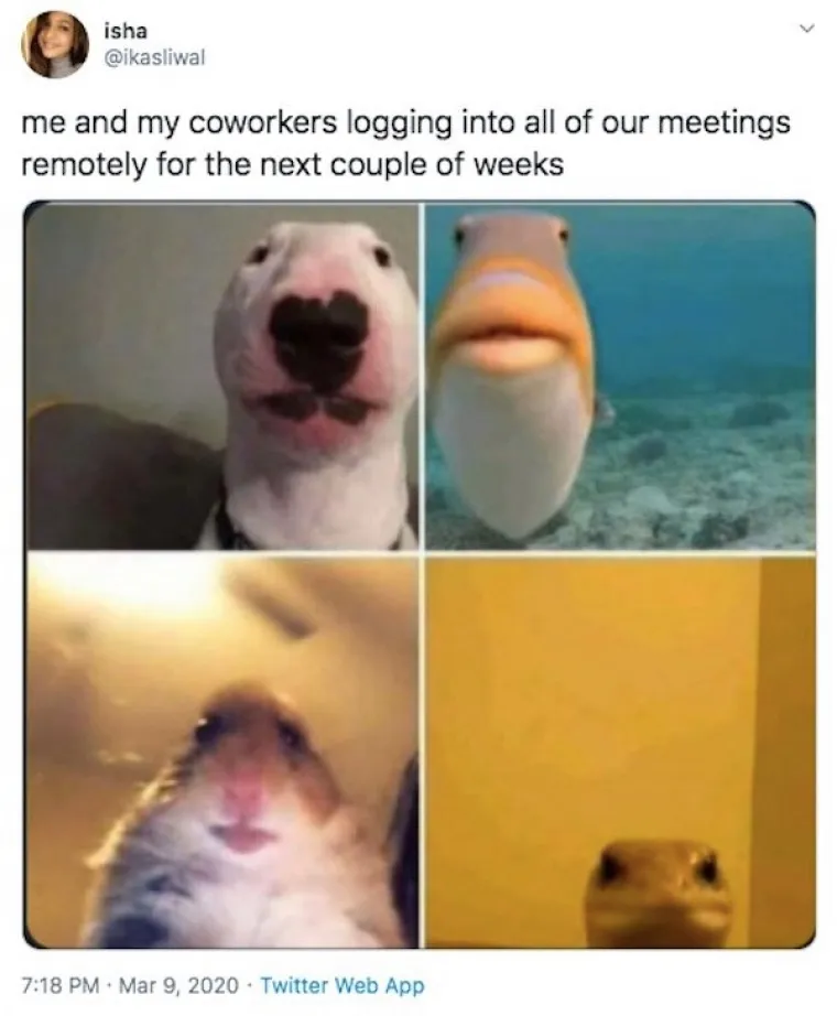 RADITE OD KUĆE? Onda će vam ovih 16 fotki biti suvi&scaron;e bolno poznate