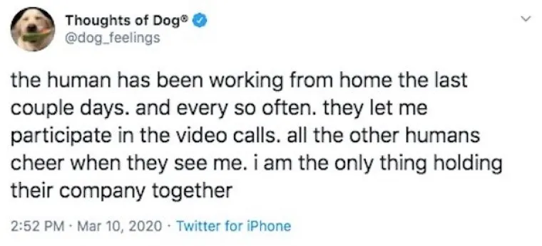 RADITE OD KUĆE? Onda će vam ovih 16 fotki biti suvi&scaron;e bolno poznate