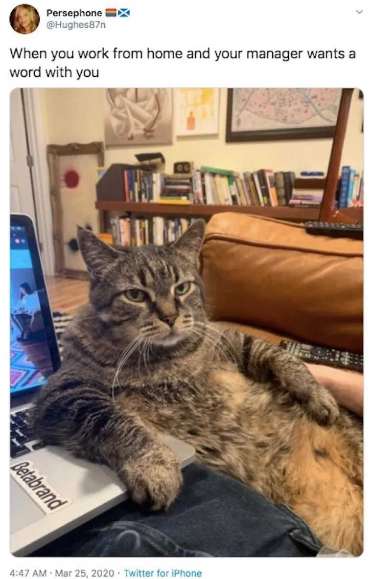 RADITE OD KUĆE? Onda će vam ovih 16 fotki biti suvi&scaron;e bolno poznate