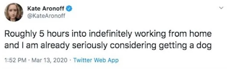 RADITE OD KUĆE? Onda će vam ovih 16 fotki biti suvi&scaron;e bolno poznate