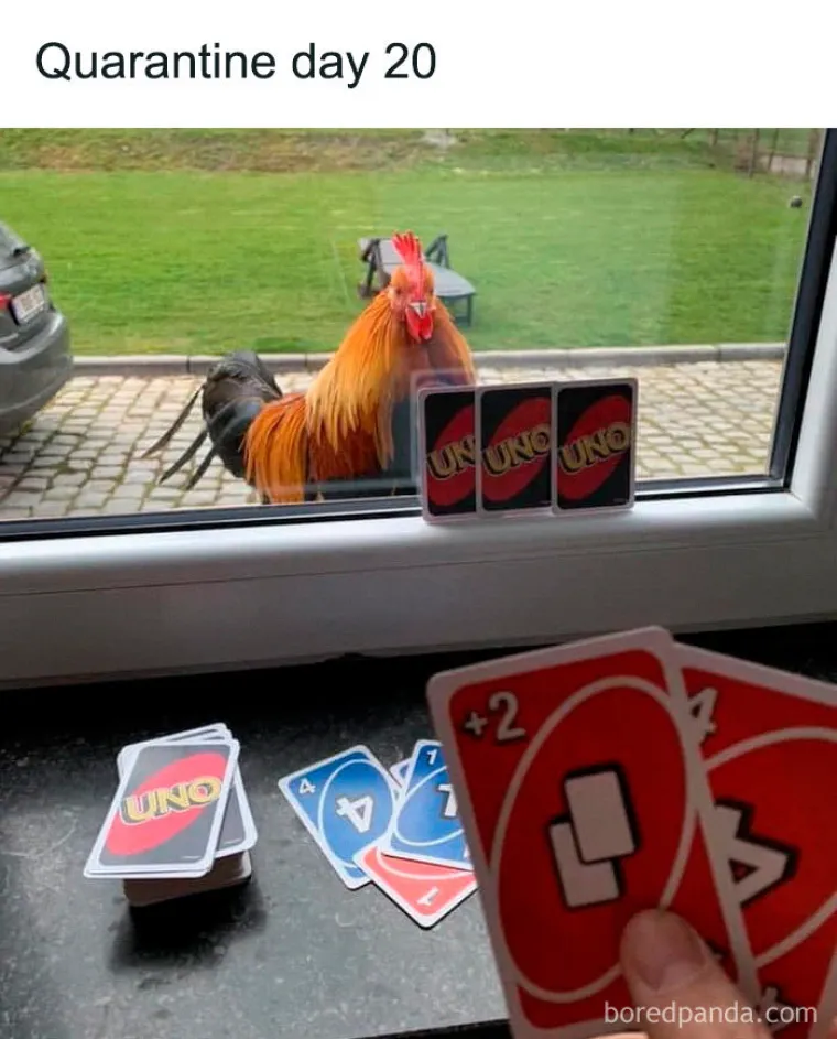 BAR NAM JE OSTAO SMISAO ZA HUMOR: Iako radite od kuće, sigurni smo da vam treba mali poticaj da lakše prođe tjedan. Evo ga