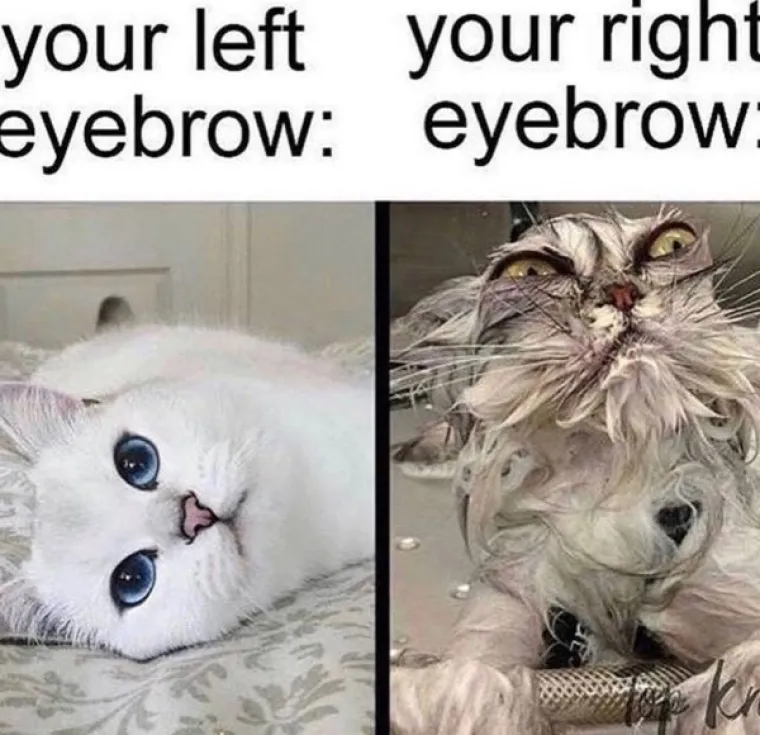 18 SLIKA KOJE ĆE SKUŽITI SAMO ŽENE: Dečki, ovaj put morat ćete priznati poraz