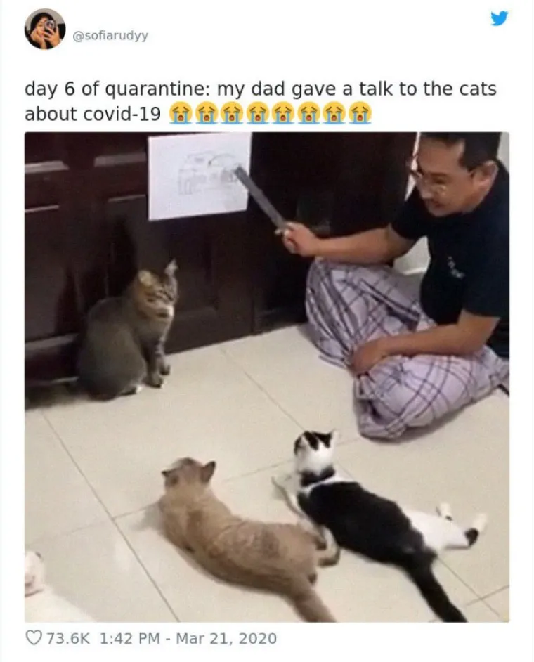 OVIM LJUDIMA JE BRUTALNO DOSADNO U IZOLACIJI: Ali vama neće biti kad vidite na &scaron;to ih je dosada natjerala