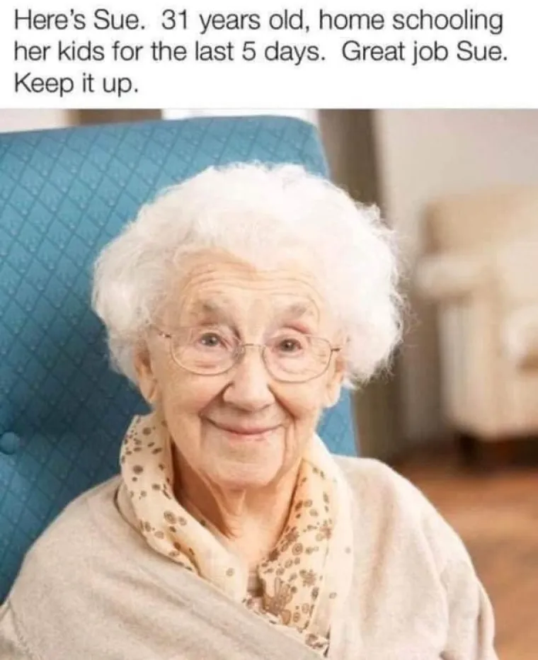 &Scaron;KOLA NA DALJINU VAM ZADAJE GLAVOBOLJE? Roditelji, u koliko se od ovih 14 urnebesnih slika prepoznajete?