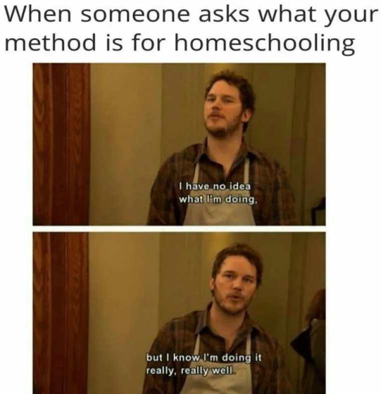 &Scaron;KOLA NA DALJINU VAM ZADAJE GLAVOBOLJE? Roditelji, u koliko se od ovih 14 urnebesnih slika prepoznajete?