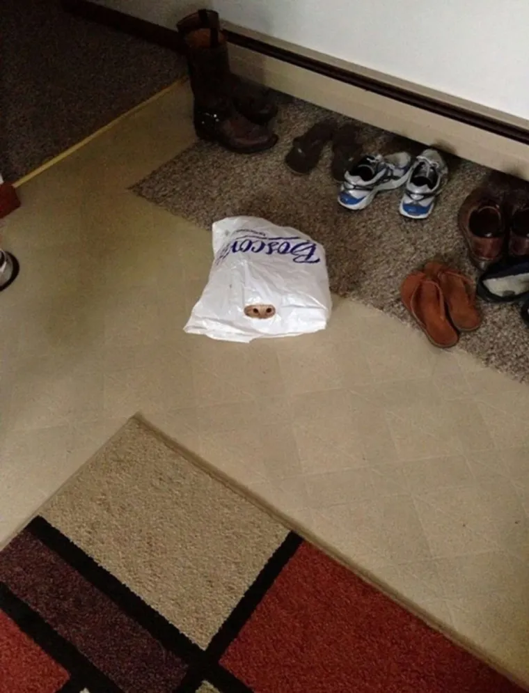 Mačke, kako im i evolucija nalaže, nenadma&scaron;ne su u skrivanju u najražličitijim okoli&scaron;ima, pa čak i ako taj okoli&scaron; bio va&scaron; dnevni boravak za kojeg ste mislili da mu poznajete svaki milimitar, osobito nakon vi&scaron;e tjedana promatranja zidova.  
 
Ako ih ne možete pronaći u njihovom skrovi&scaron;tu, listajte dalje galeriju pa ćete pronači i rje&scaron;enja