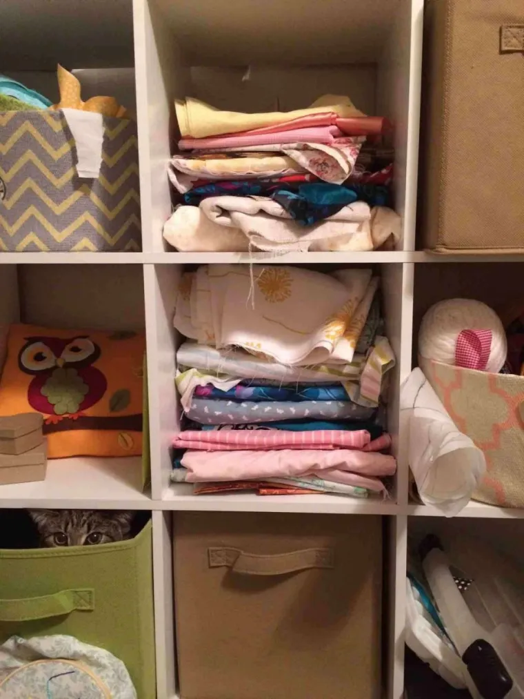 NI ONI NAJO&Scaron;TRIJEG OKA NE MOGU OVDJE PRONAĆI MAČKE: Ekipa dijeli fotografije nevjerojatnih mjesta gdje su se sakrile