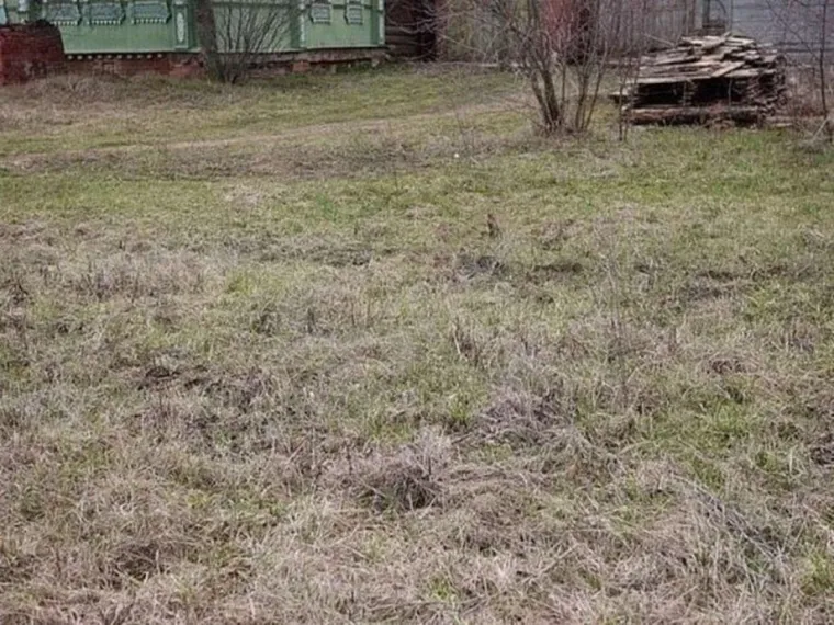 NI ONI NAJO&Scaron;TRIJEG OKA NE MOGU OVDJE PRONAĆI MAČKE: Ekipa dijeli fotografije nevjerojatnih mjesta gdje su se sakrile