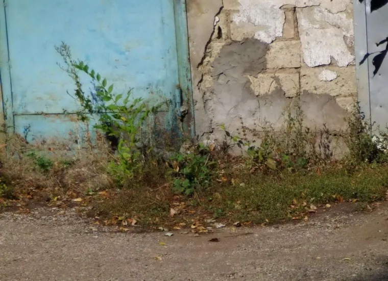 NI ONI NAJO&Scaron;TRIJEG OKA NE MOGU OVDJE PRONAĆI MAČKE: Ekipa dijeli fotografije nevjerojatnih mjesta gdje su se sakrile