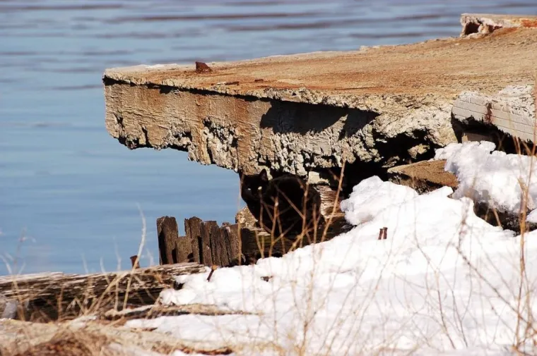 NI ONI NAJO&Scaron;TRIJEG OKA NE MOGU OVDJE PRONAĆI MAČKE: Ekipa dijeli fotografije nevjerojatnih mjesta gdje su se sakrile