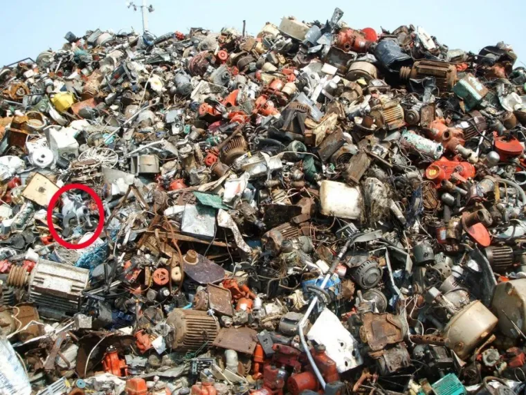 NI ONI NAJO&Scaron;TRIJEG OKA NE MOGU OVDJE PRONAĆI MAČKE: Ekipa dijeli fotografije nevjerojatnih mjesta gdje su se sakrile