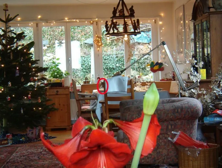 NI ONI NAJO&Scaron;TRIJEG OKA NE MOGU OVDJE PRONAĆI MAČKE: Ekipa dijeli fotografije nevjerojatnih mjesta gdje su se sakrile