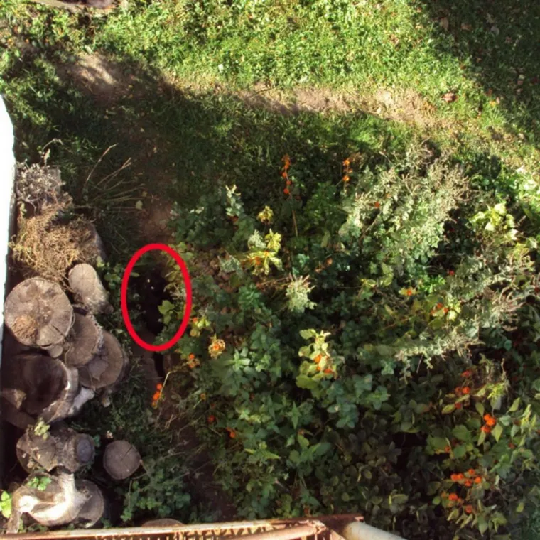 NI ONI NAJO&Scaron;TRIJEG OKA NE MOGU OVDJE PRONAĆI MAČKE: Ekipa dijeli fotografije nevjerojatnih mjesta gdje su se sakrile