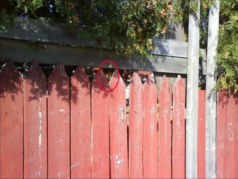 NI ONI NAJO&Scaron;TRIJEG OKA NE MOGU OVDJE PRONAĆI MAČKE: Ekipa dijeli fotografije nevjerojatnih mjesta gdje su se sakrile