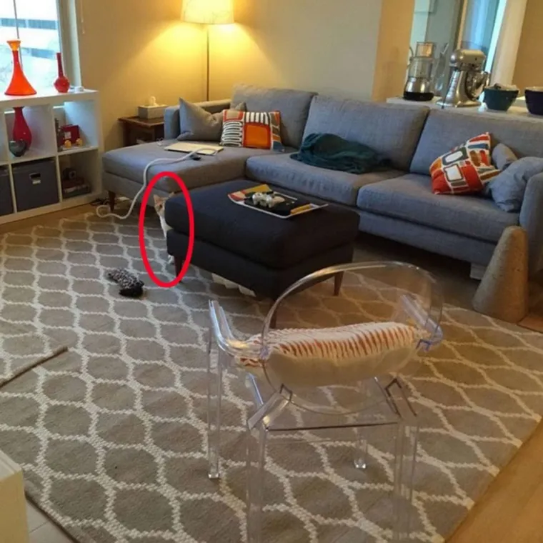 NI ONI NAJO&Scaron;TRIJEG OKA NE MOGU OVDJE PRONAĆI MAČKE: Ekipa dijeli fotografije nevjerojatnih mjesta gdje su se sakrile