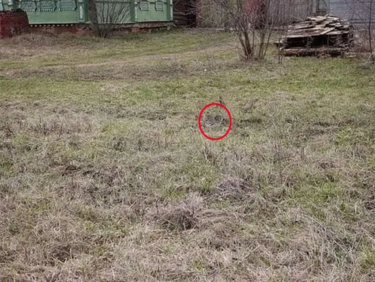 NI ONI NAJO&Scaron;TRIJEG OKA NE MOGU OVDJE PRONAĆI MAČKE: Ekipa dijeli fotografije nevjerojatnih mjesta gdje su se sakrile