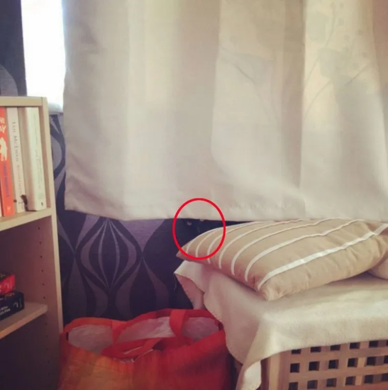 NI ONI NAJO&Scaron;TRIJEG OKA NE MOGU OVDJE PRONAĆI MAČKE: Ekipa dijeli fotografije nevjerojatnih mjesta gdje su se sakrile