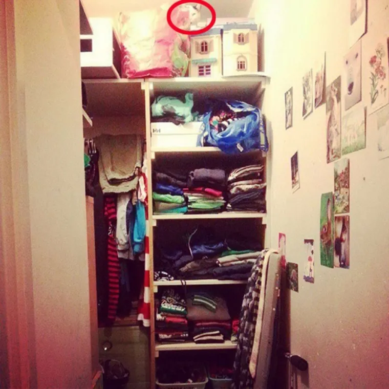 NI ONI NAJO&Scaron;TRIJEG OKA NE MOGU OVDJE PRONAĆI MAČKE: Ekipa dijeli fotografije nevjerojatnih mjesta gdje su se sakrile