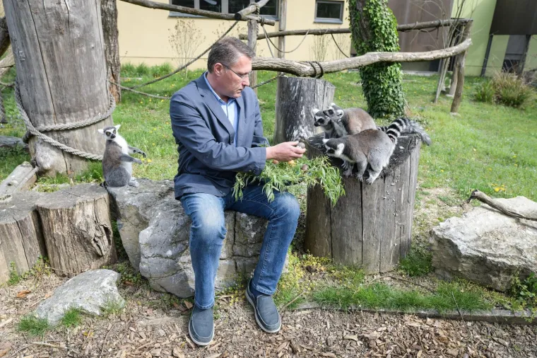 Uskrs u zoolo&scaron;kom vrtu: Lavovi, giboni i mravojedi navalili na pisanice, merkatima je bila zanimljivija RTL-ova kamera