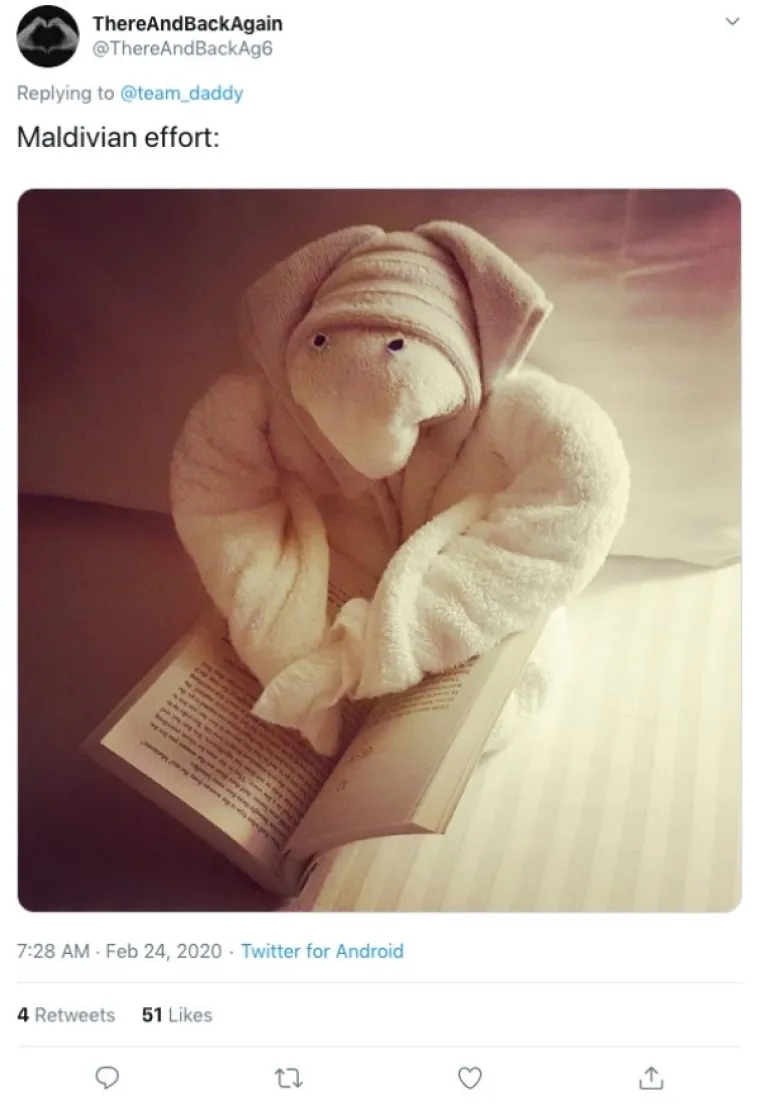 OVO JE NEKI SASVIM NOVI OBLIK UMJETNOSTI: U krevetu su ih dočekali majmuni, krokodili, gole žene...