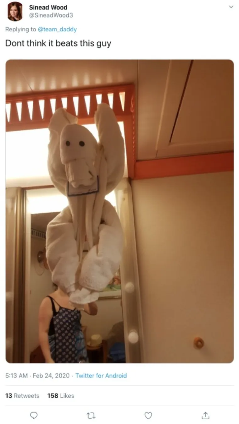 OVO JE NEKI SASVIM NOVI OBLIK UMJETNOSTI: U krevetu su ih dočekali majmuni, krokodili, gole žene...