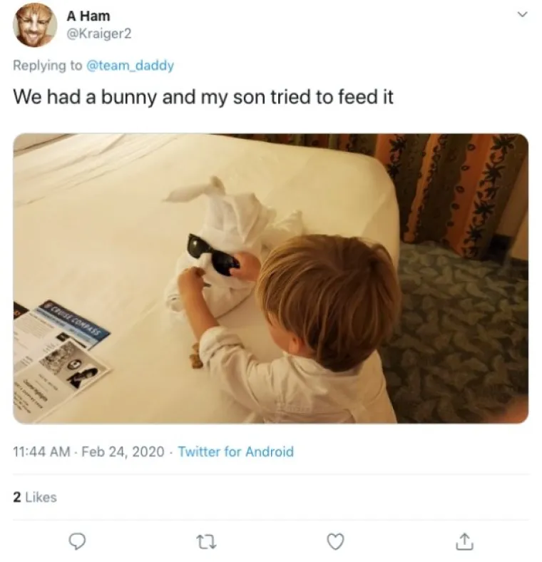 OVO JE NEKI SASVIM NOVI OBLIK UMJETNOSTI: U krevetu su ih dočekali majmuni, krokodili, gole žene...