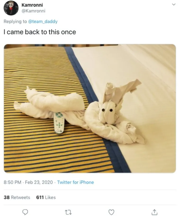 OVO JE NEKI SASVIM NOVI OBLIK UMJETNOSTI: U krevetu su ih dočekali majmuni, krokodili, gole žene...