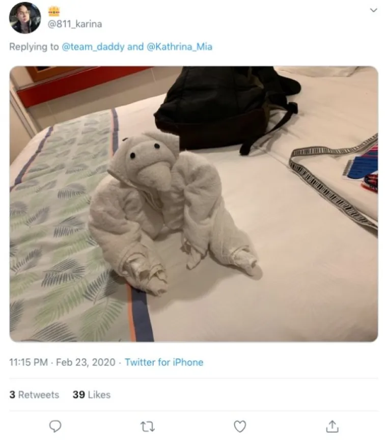 OVO JE NEKI SASVIM NOVI OBLIK UMJETNOSTI: U krevetu su ih dočekali majmuni, krokodili, gole žene...