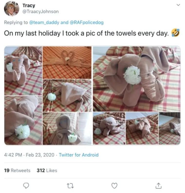 OVO JE NEKI SASVIM NOVI OBLIK UMJETNOSTI: U krevetu su ih dočekali majmuni, krokodili, gole žene...