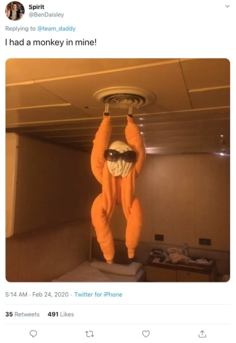 OVO JE NEKI SASVIM NOVI OBLIK UMJETNOSTI: U krevetu su ih dočekali majmuni, krokodili, gole žene...