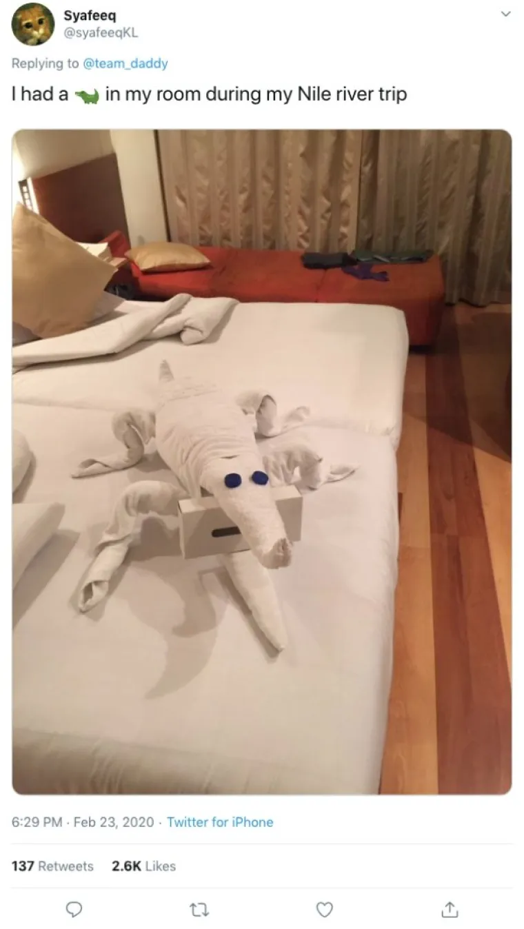 OVO JE NEKI SASVIM NOVI OBLIK UMJETNOSTI: U krevetu su ih dočekali majmuni, krokodili, gole žene...