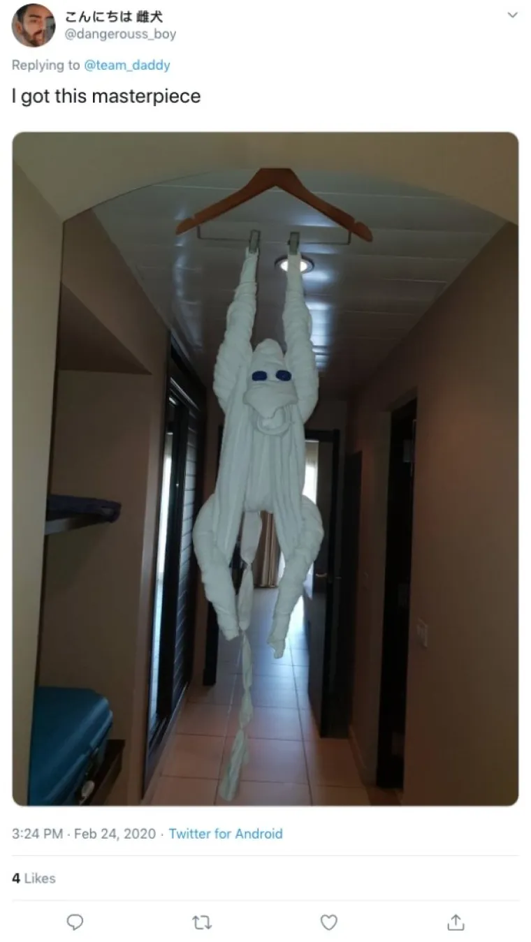 OVO JE NEKI SASVIM NOVI OBLIK UMJETNOSTI: U krevetu su ih dočekali majmuni, krokodili, gole žene...