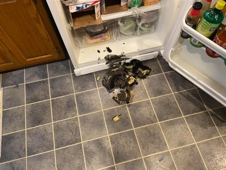 SVAKI PUT KAD POMISLITE DA VAM JE DAN GROZAN... Totalne tragedije ovih ljudi dokazuju da uvijek može gore